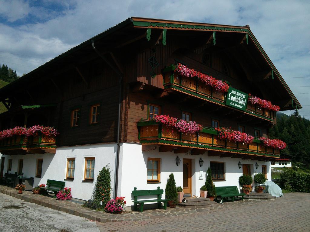 Laubichlhof Apartment Flachau Ruang foto