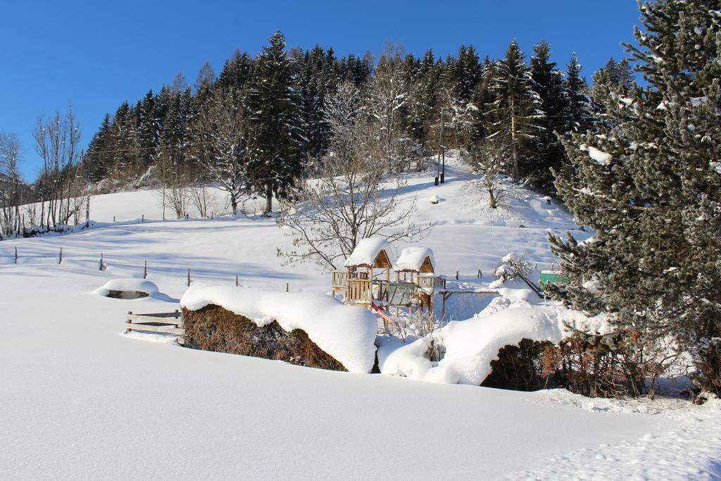 Laubichlhof Apartment Flachau Bagian luar foto